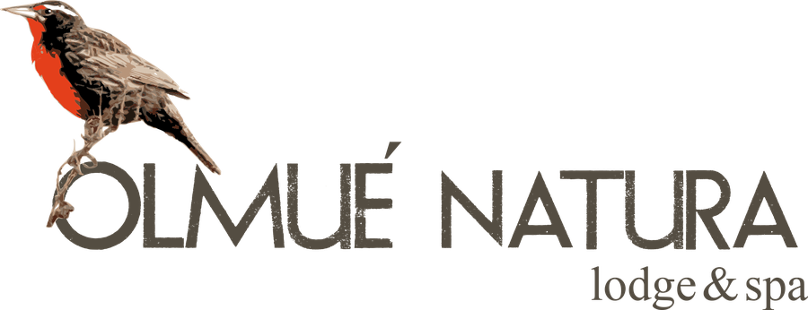 Olmué Natura Lodge & Spa