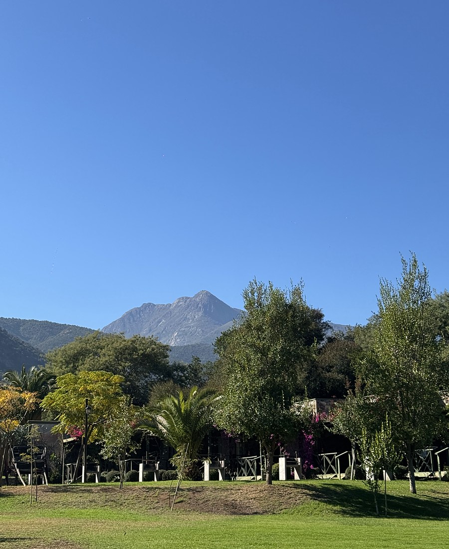 Praderas y palmeras de Olmué Natura con el Cerro La Campana al fondo